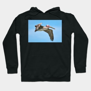 Brown Pelican Soaring Hoodie